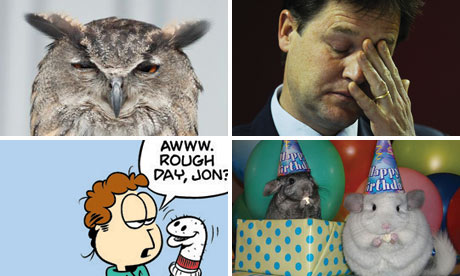 Ten Funniest Tumblrs composite