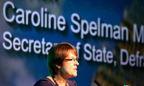 caroline spelman