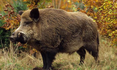 Strange sex tip of the day …