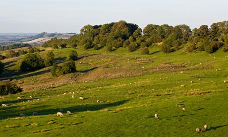 Dovers Hill