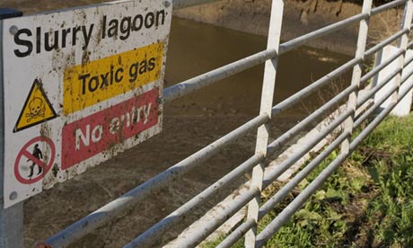 A slurry store in Dorset