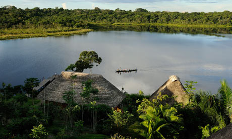 Yasuni national park, Ecuador 