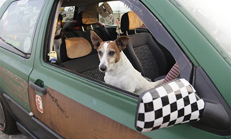 Brighton Petrolheads come in all shapes and sizes.