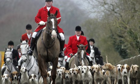 Fox hunting