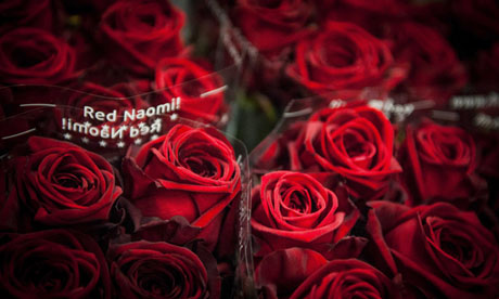 Ignore the hype … red roses being prepared for the Valentine's Day rush