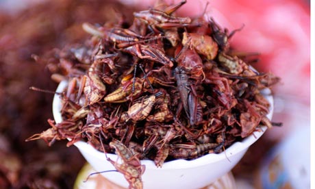 Mexican-grasshoppers-frie-010.jpg