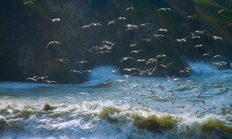 Water – explored as a theme in literature