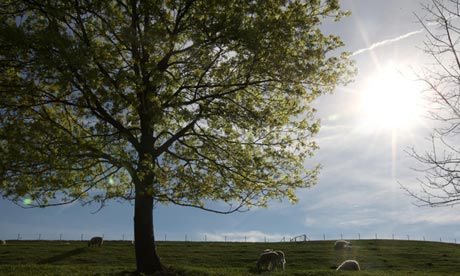 Spring weather: vintage years