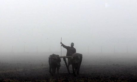 Many smallholder farmers lack access to modern means of farming. (Photograph: Narendra Shrestha/EPA via The Guardian)