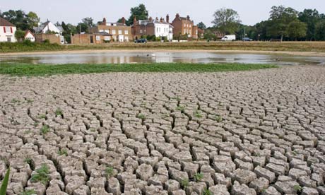 A dried-out pond in Gerrards Cross, Buckinghamshire