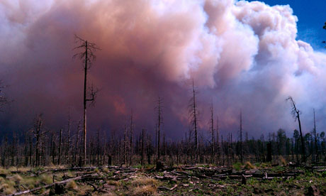 A wildfire at Gila National Forest, New Mexico