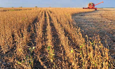 A combine harvests soybeans near Salto, Argentina