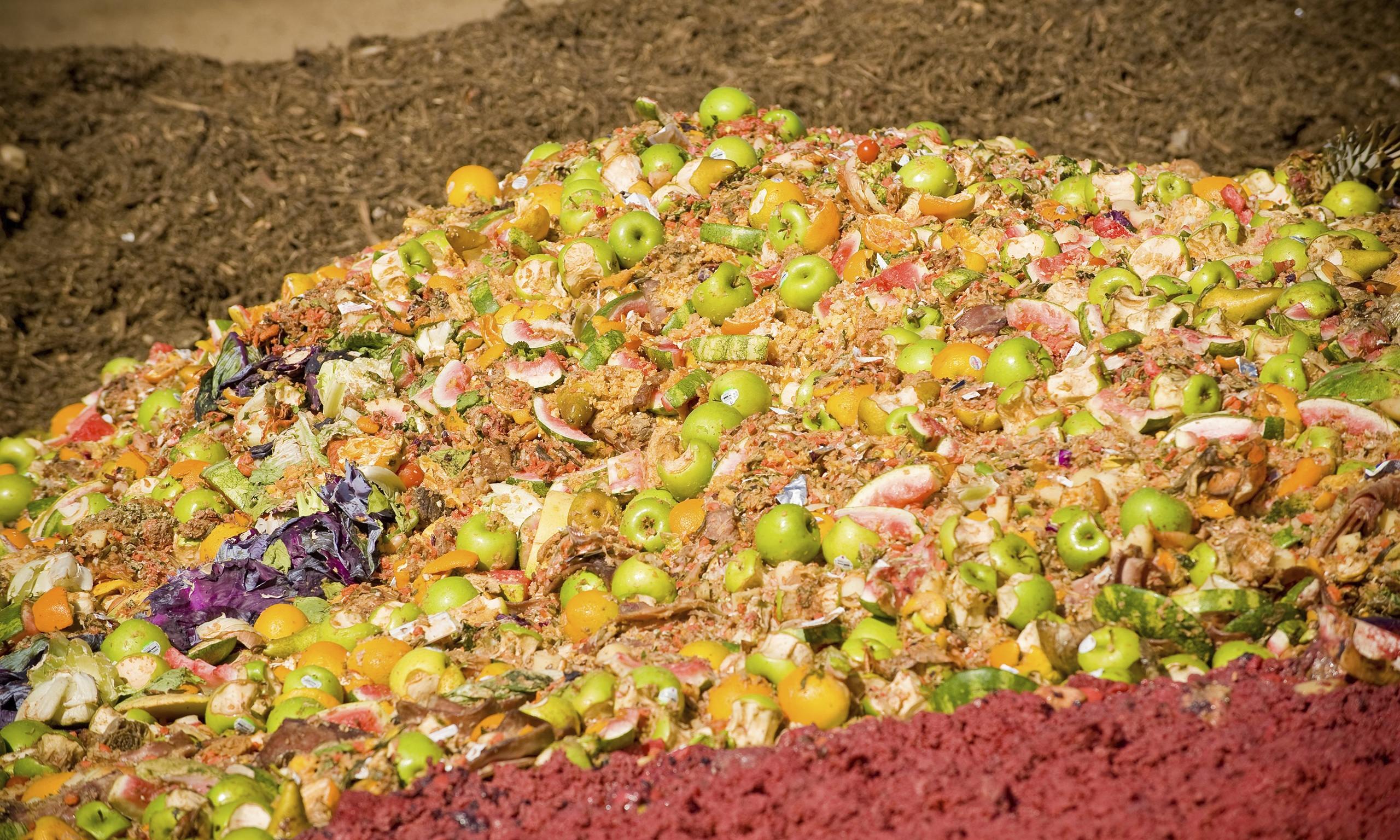 Rivals to follow Tesco in revealing amount of food wasted | Business