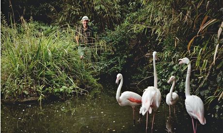 David Lewis in Kensington Roof Gardens