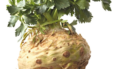 Ask Alys: celeriac