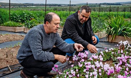 Gardens: eastern Med