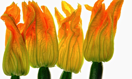 Alys Fowler: courgettes