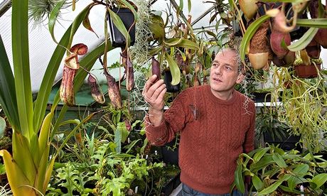 How garden grows: Andy Smith