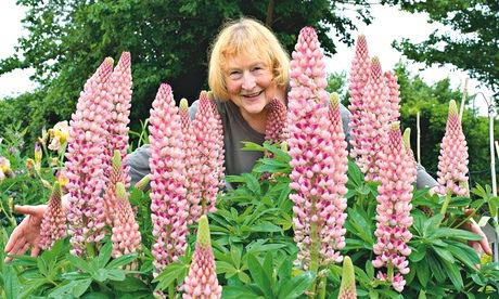 HDYGG: Marjorie McCartney