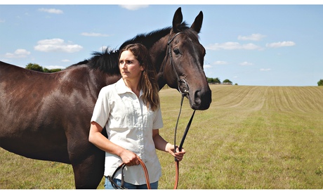 Experience: horse mauled