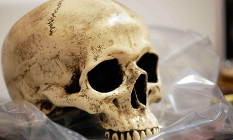 The skull of Yorick for Hamlet at the Young Vic