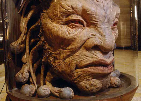 Museum of monsters the Face of Boe can be seen at the Doctor Who 