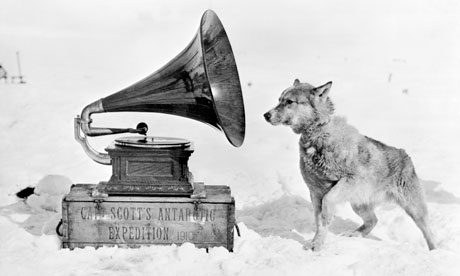 Chris the sled dog during Captain Scott's Terra Nova Expedition to the Antarctic, 1911