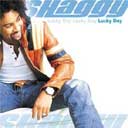 Shaggy: Lucky Day