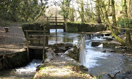 Cotehele mill, Tamar Valley