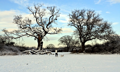 Tolworth Court Farm nature reserve
