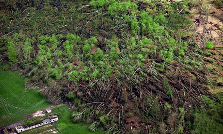 Trees flattened after strom in Buetzow, Germany