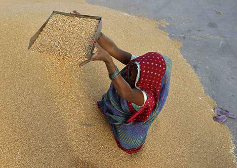 India cracks down on foreign funding of NGOs | World news | The.