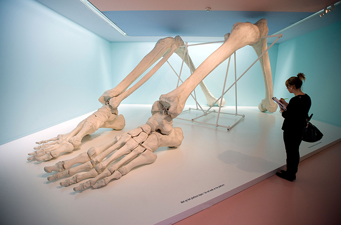 Art Basel HK: Space of Bones/Bone Space by Chinese artist  Sui Jianguo