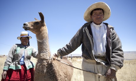 Llama-farmer-in-Peru-008.jpg