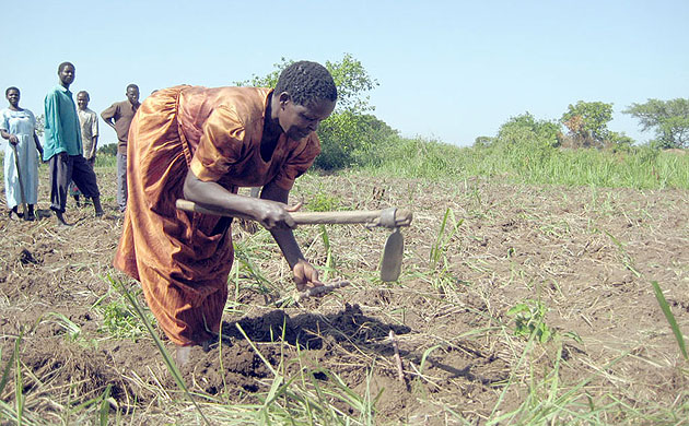 Katine farmer gallery 1