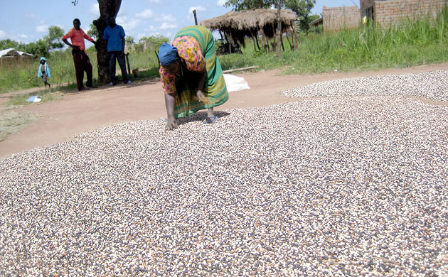 Katine farmer gallery 8