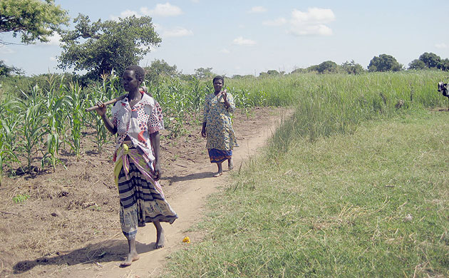 Katine farmer gallery 2