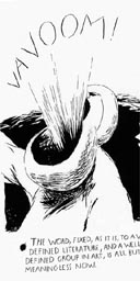 Vavoom by Raymond Pettibon