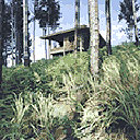 Djungel by Simon Starling