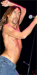 Iggy Pop