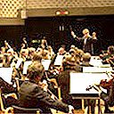 Symphony orchestra in action