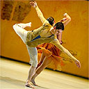 Stampede by Richard Alston