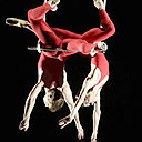 Trapeze from ENB's Tour de Force