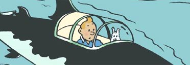 Tintin