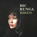 Bic Runga, Birds