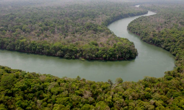 Brazil Rainforest Deforestation