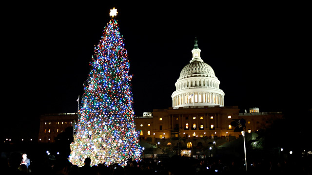 capitol hill christmas tree lit in washington video us capitol hill christmas tree lit in washington video us