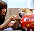 A young Japanese woman feeds a cat at Tokyo's Cat Cafe
