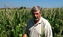 Mike Buis, farmer