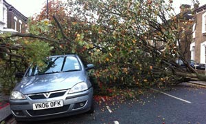 collapsed tree london